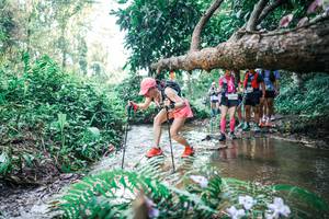 BIB: 
                            <button type="button" onclick="openModal(25454030)" class="btn btn-primary btn-sm float-right btn-popup" data-toggle="modal" data-target=".modal-high-quality">
                        <i class="fas fa-shopping-cart"></i> Add to Cart
                    </button>
                                            <button type="button" onclick="isThisMe(25454030, true)" class="btn btn-success btn-sm float-right btn-popup btn-isme hidden" data-toggle="tooltip" data-placement="bottom" title="นี่คือรูปของคุณใช่ไหม คลิกที่นี่เพื่อเอาเข้าอัลบั้ม">
                        <i class="fas fa-plus"></i> Add to album
                    </button>
                    <button type="button" onclick="isThisMe(25454030, false)" class="btn btn-warning btn-sm float-right btn-popup btn-isnotme hidden">
                        <i class="fas fa-ban"></i> Remove from album
                    </button>